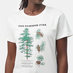 Tentree Common Pine T-Shirt
Women's Organic Cotton Graphic Tee